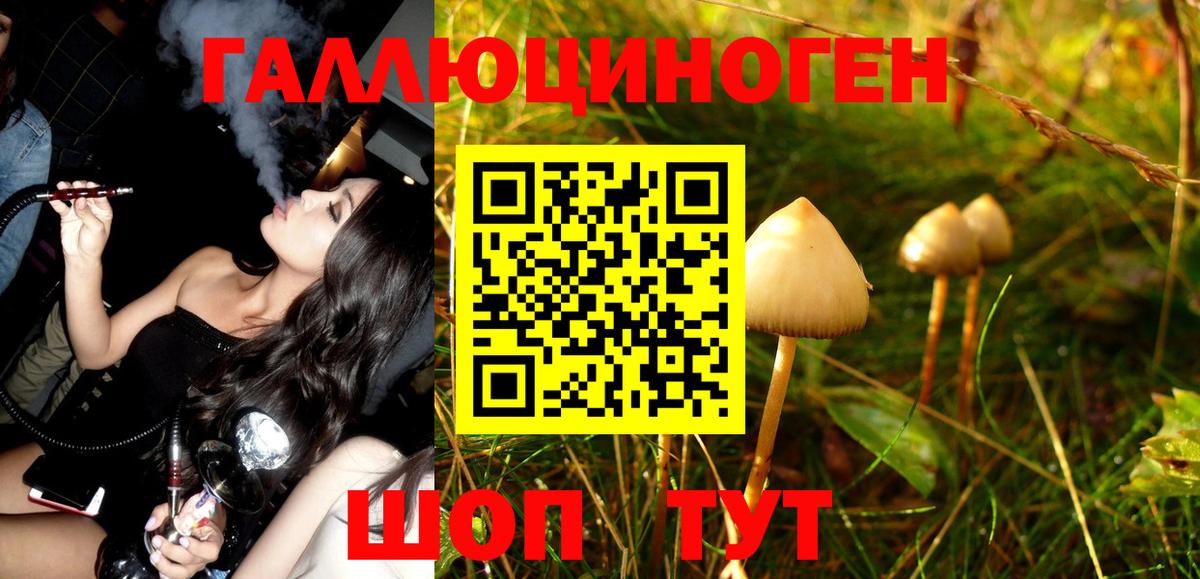 Псилоцибиновые грибы MAGIC MUSHROOMS  Псилоцибиновые грибы мухоморы  Вход с VPN  хочу   Батайск 